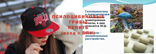 mix Богородск